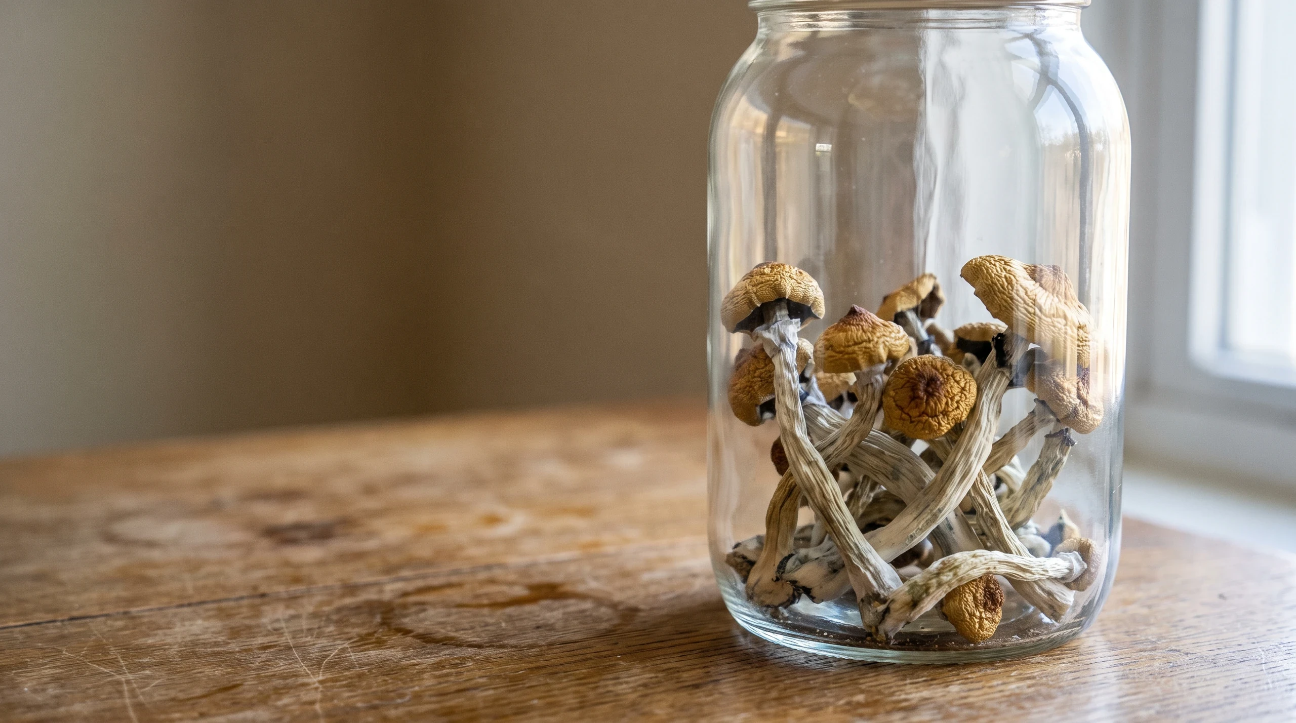 Specimen Preservation