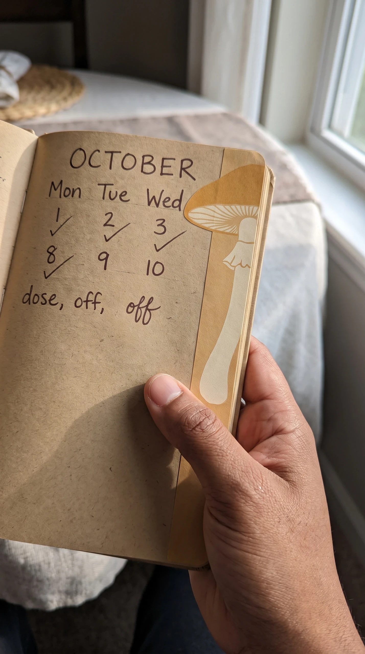 Dosing Schedule Notation