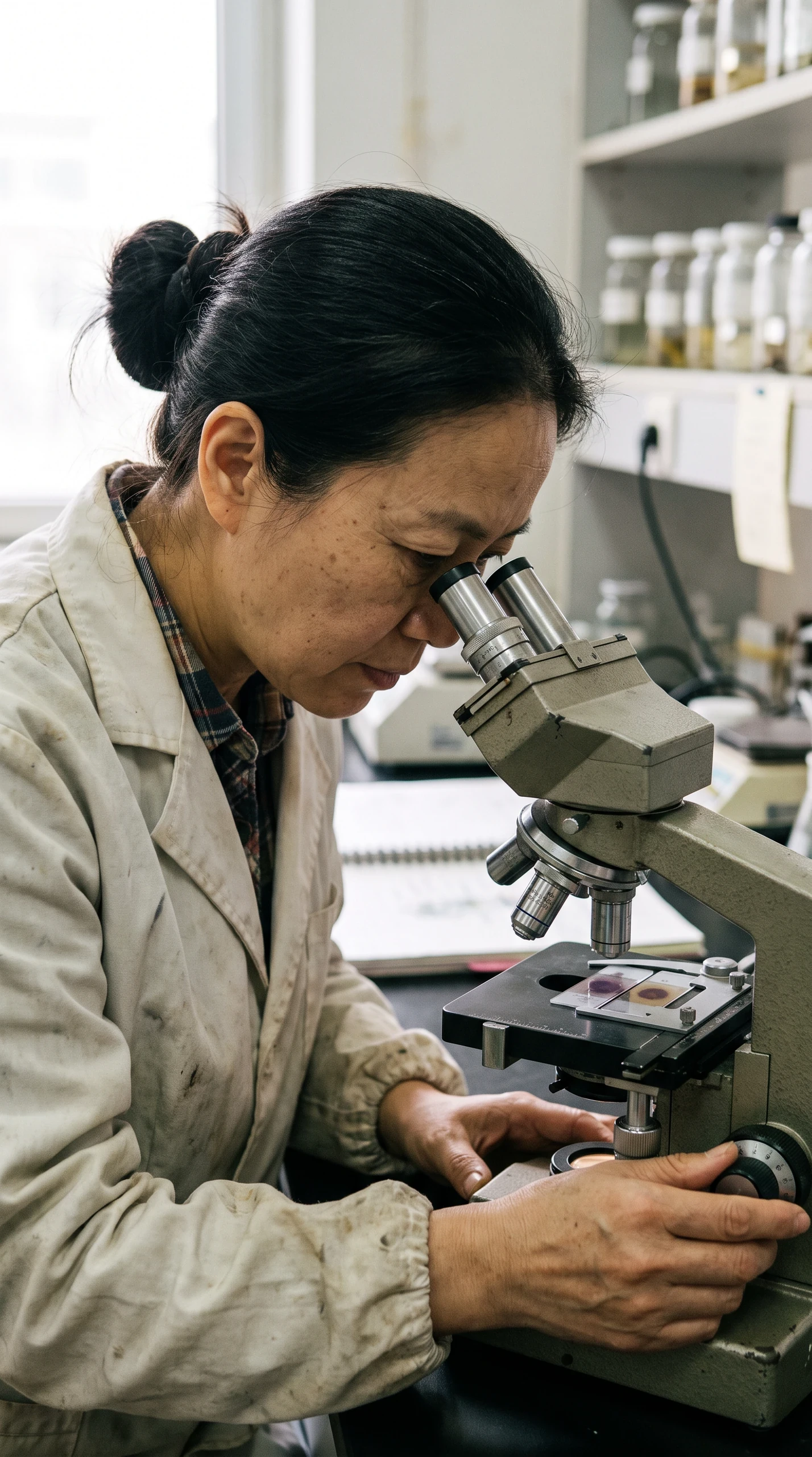 Microscopy Examination